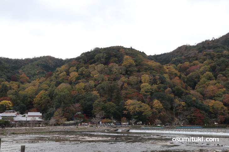 渡月橋から見た「嵐山」の紅葉、まだ紅葉し始めです(2018年11月14日)