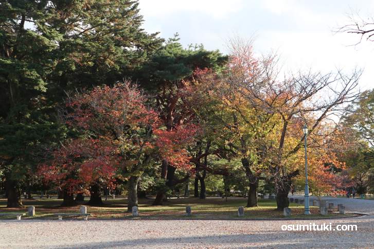 2018年11月15日に見た「京都御苑の紅葉」具合