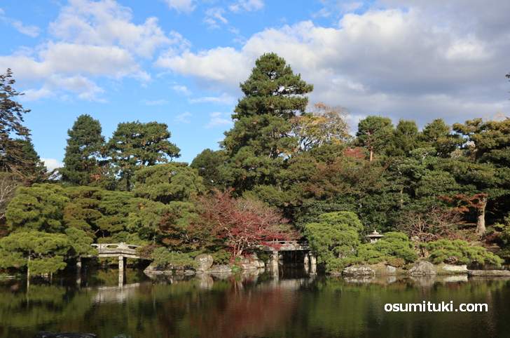 京都御所の紅葉、本来なら紅葉名所なのですが・・・・(2018年11月15日撮影)
