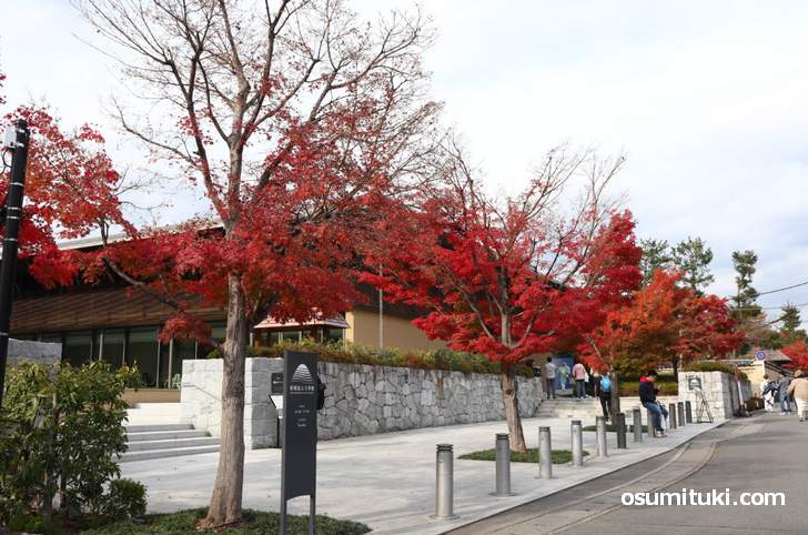 嵯峨嵐山文華館の紅葉が一番真っ赤でした(2018年11月25日)