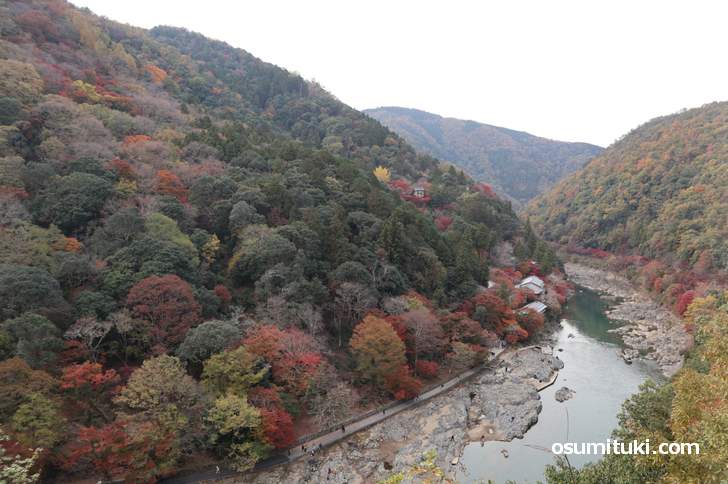 嵐山公園亀山地区の展望台から見た紅葉(2018年11月25日)