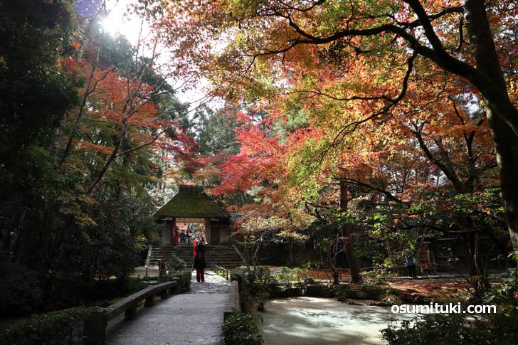 幻想的な雰囲気の銀閣寺エリアの紅葉(写真は法然院)