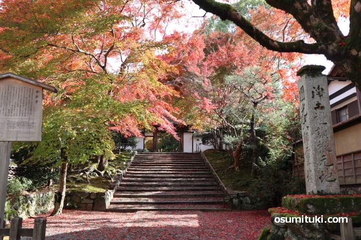 入口で満足できるほどスゴイ!安楽寺(あんらくじ)の紅葉