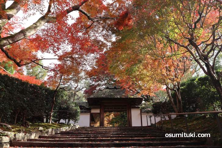 法然院と安楽寺 紅葉状況 京都 まだまだ見頃の銀閣寺エリア 18年11月29日 京都のお墨付き