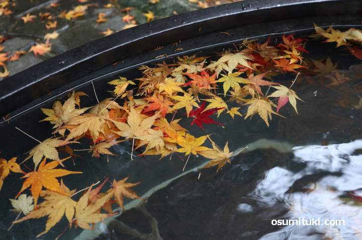 紅葉の五右衛門風呂が京都の大原にありました