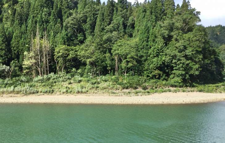 福島県奥会津の只見川に行列ができる絶景があるそうです（写真は只見川）