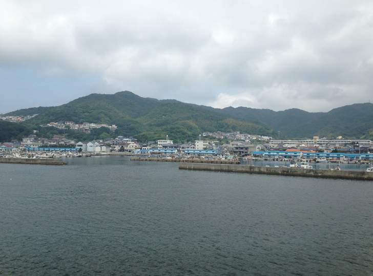 淡路島3年とらふぐ は福良湾で養殖されています