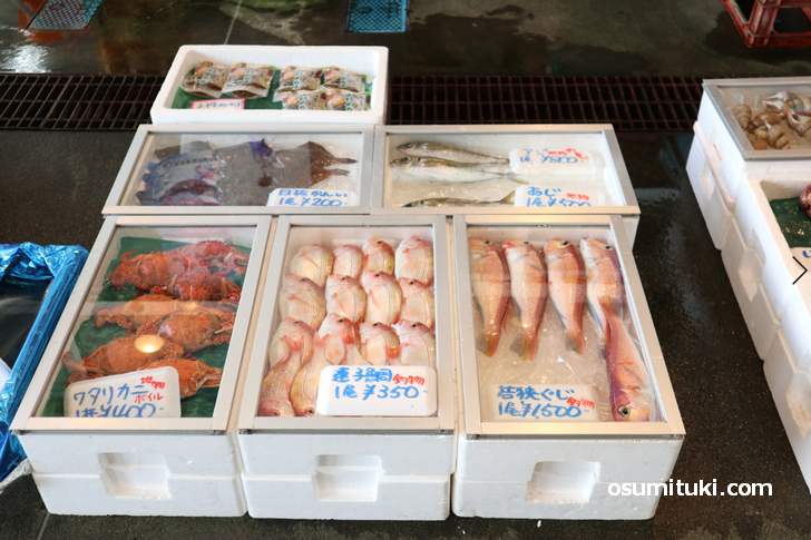 とれたて市場（福井県小浜市）は魚がおいしくて安く買える穴場です！