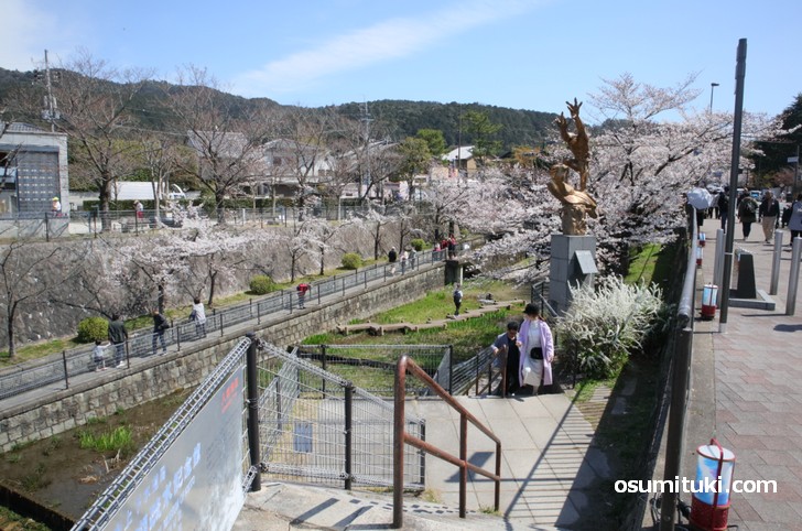 琵琶湖疏水記念館から蹴上インクラインへ向かう階段