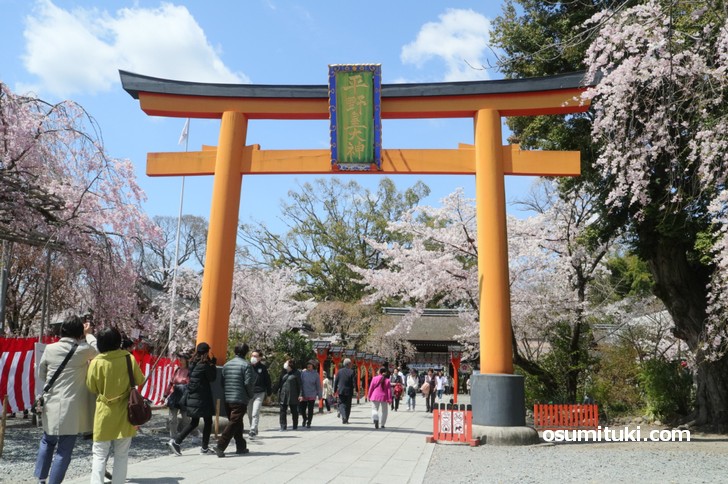 平野神社へ行くなら京都市バスが便利です