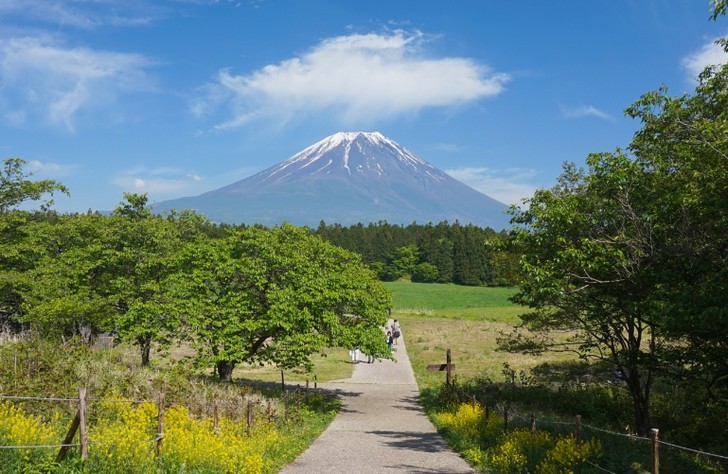 ハーブ&ジャム工房 松本があるのは富士山を仰ぐ富士宮市