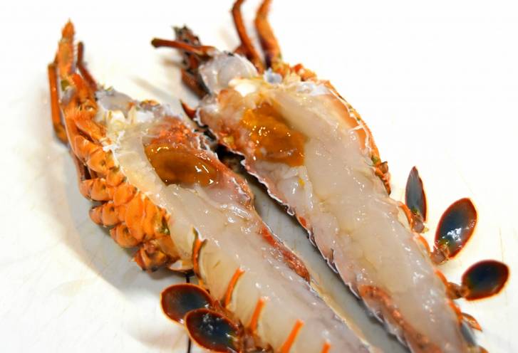 長崎県五島列島の福江島、伝統漁法・タコ脅し漁で捕れた伊勢海老が青空レストランで紹介