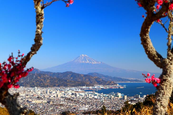 有名な景勝地「日本平」がある静岡市清水区の農家民宿「ぬくもり園ゆるり」が人生の楽園で紹介