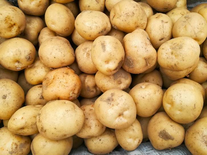 その三方原台地で生産されるジャガイモが三方原馬鈴薯(みかたはらばれいしょ)