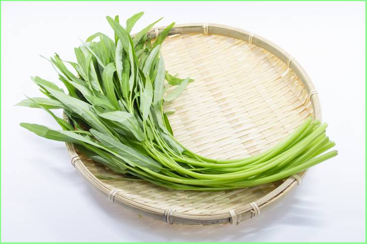若い葉だとなんか雑草みたいですが栄養価の高い野菜としても知られています(空芯菜)
