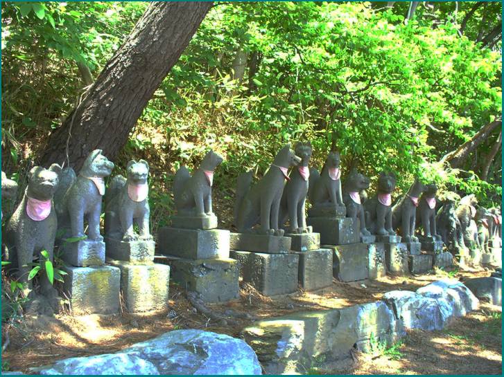 高山稲荷神社の奥には使われなくなったお稲荷さんと祠が大量に鎮座している