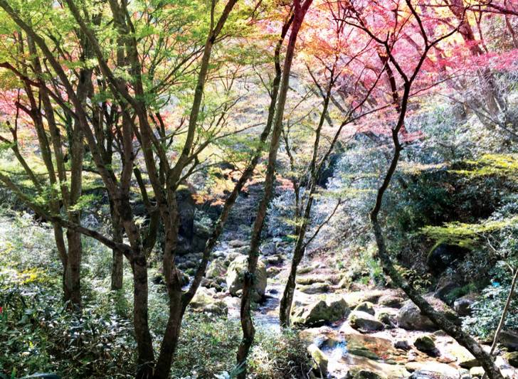 花園・花貫県立自然公園