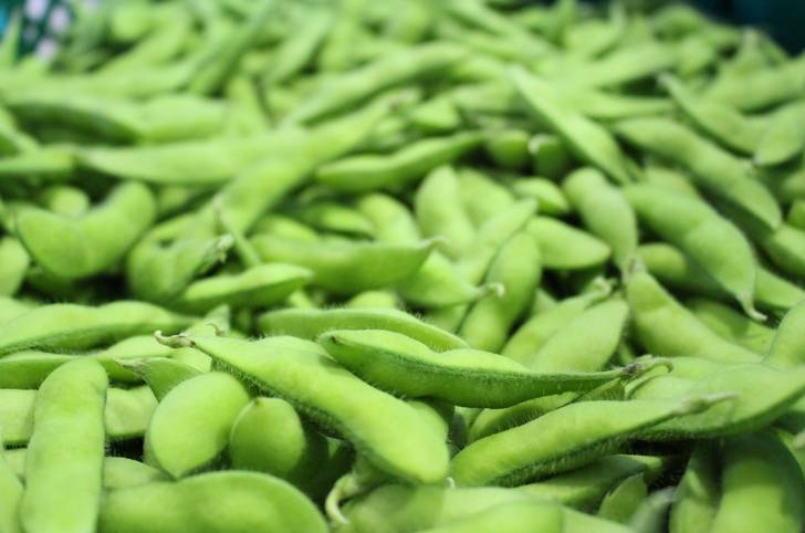 幻の大豆(枝豆)「あけぼの大豆」が『ごはんジャパン』で紹介