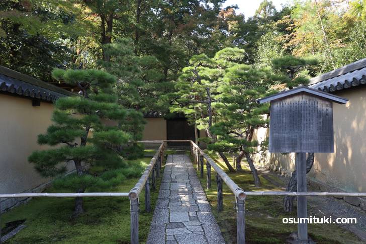 京都・大徳寺にある「高桐院」竹の名所です