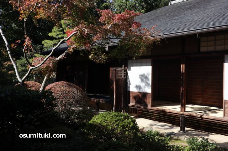 京都は暖冬で紅葉シーズンが2週間ほど遅れています