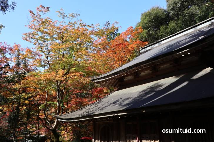 地元の廃寺「讃州寺」へ