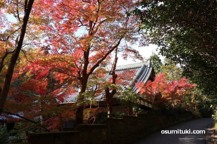 すぐ近くの紅葉名所「吟松寺」もキレイな紅葉でした