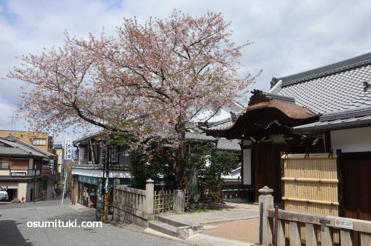 京都・五条坂、土産物店も飲食店も半数以上が営業自粛