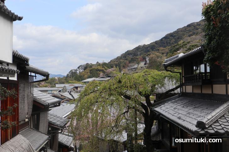 新型コロナウイルスで観光客が一番いなくなったのは祇園と清水寺エリア