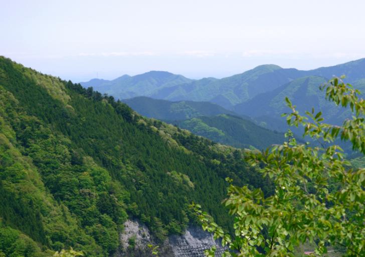 檜原村は山の村、斜面を利用した茶畑がかつてありました(写真は檜原村)