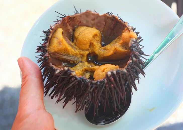 駆除したウニをキャベツで育てた「キャベツウニ」