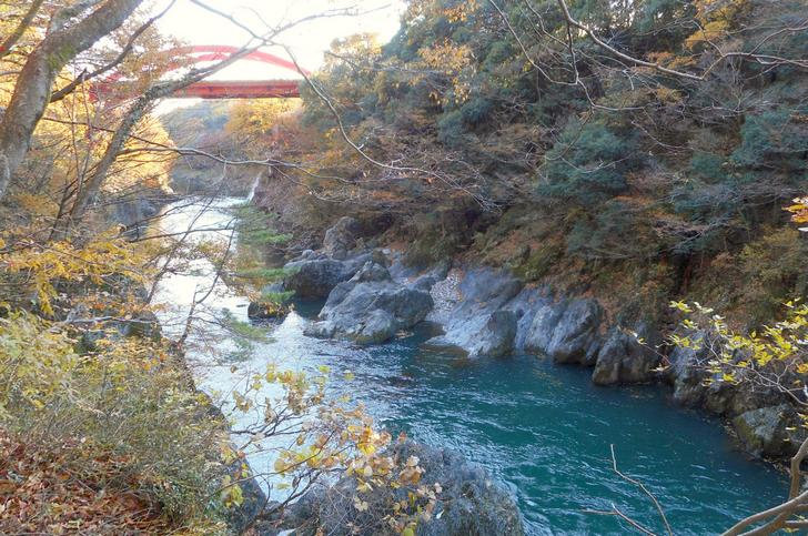 群馬県みどり市大間々町大間々に幅60cm薄い居酒屋があるらしい