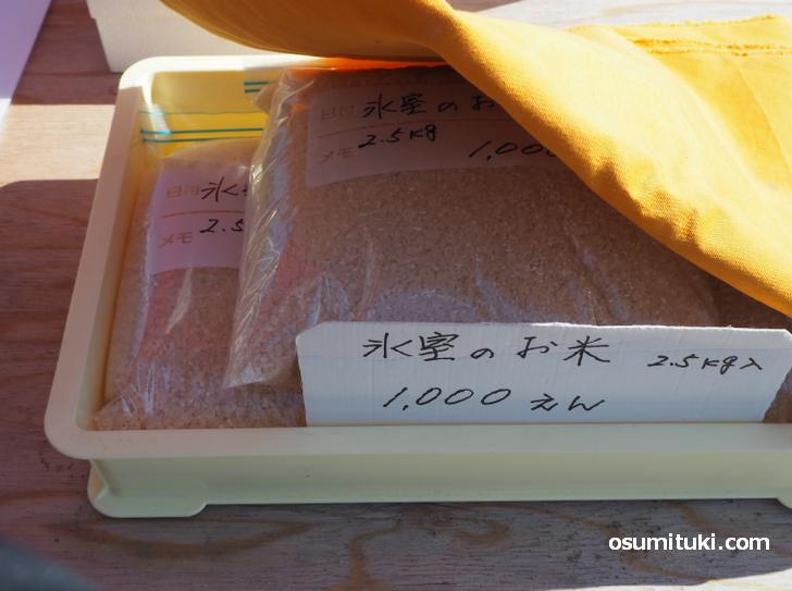 普通は買えない幻の氷室米を4kg購入！