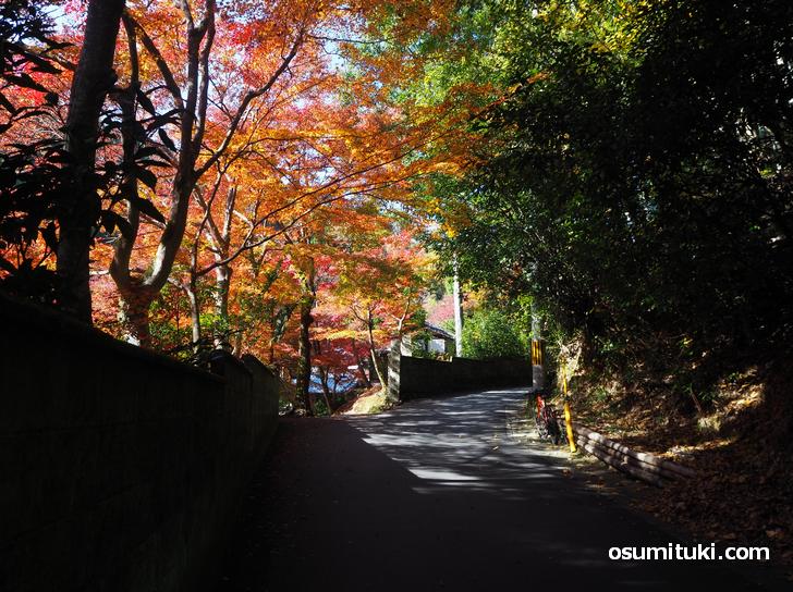 吟松寺の紅葉(2020年11月18日撮影)