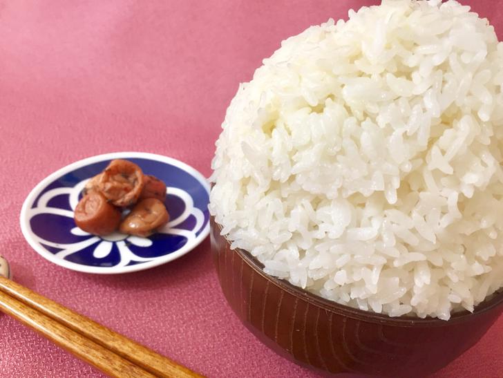 ジョブチューン「やりすぎ食堂 5」で紹介される飲食店まとめ