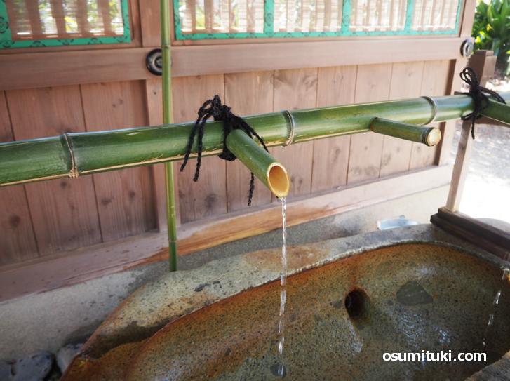 手水も竹筒から水が流れるようになっています