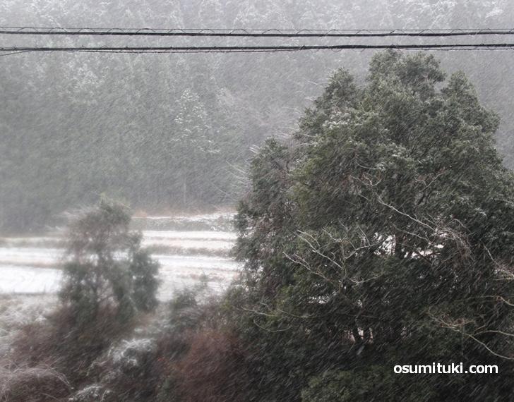 上賀茂で雪がちらつく程度でも、さらに北の雲ケ畑では大吹雪ということもありました