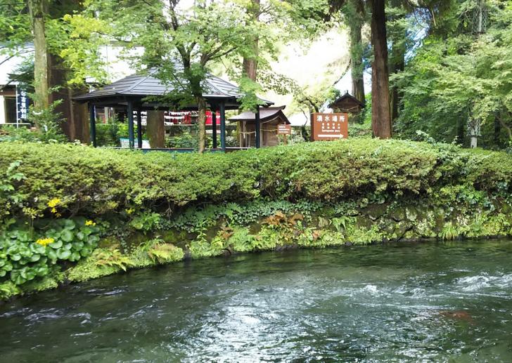 ナニコレ珍百景で熊本県南阿蘇村にある珍百景が紹介されます