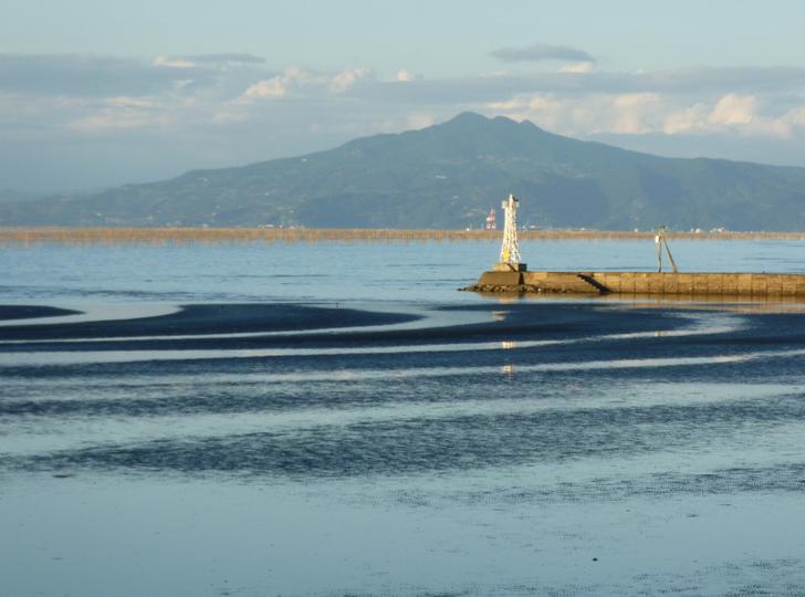 川口産大和蛤は有明海の干潟で水揚げされている