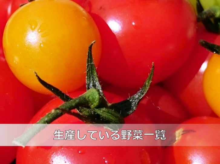ファーム塚田で生産している野菜の一覧