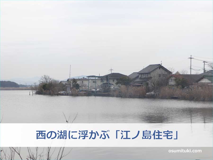 西の湖に浮かぶ「江ノ島住宅」