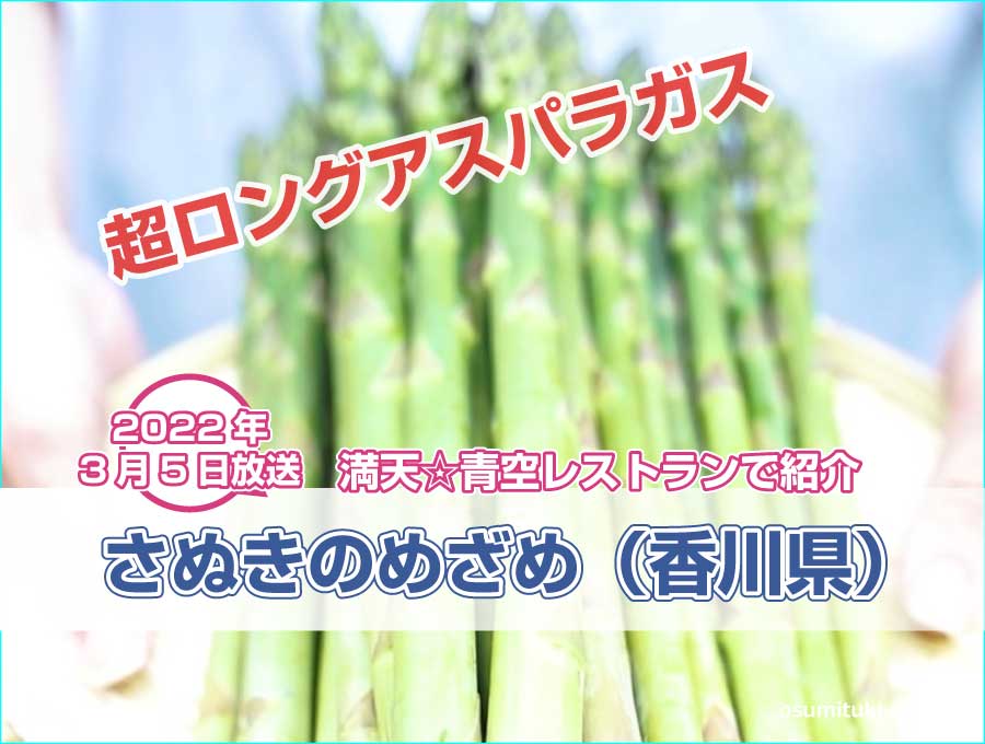 香川県の根元まで美味しい超ロングアスパラガスが【青空レストラン】で紹介