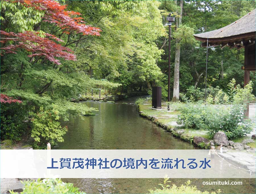 上賀茂神社の境内を流れる水