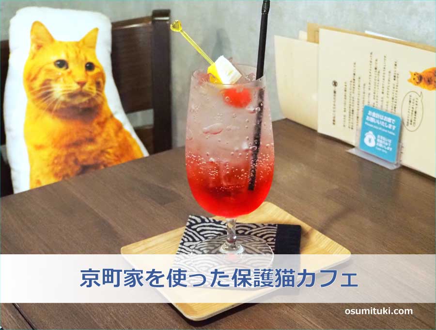 京町家を使った保護猫カフェ