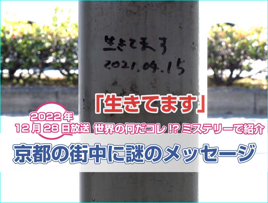 京都の街中に謎のメッセージ「生きてます」