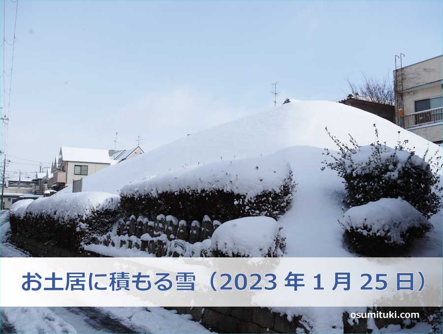お土居に積もる雪（2023年1月25日）