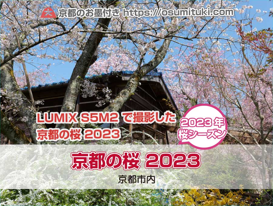 LUMIX S5M2 で撮影した京都の桜 2023