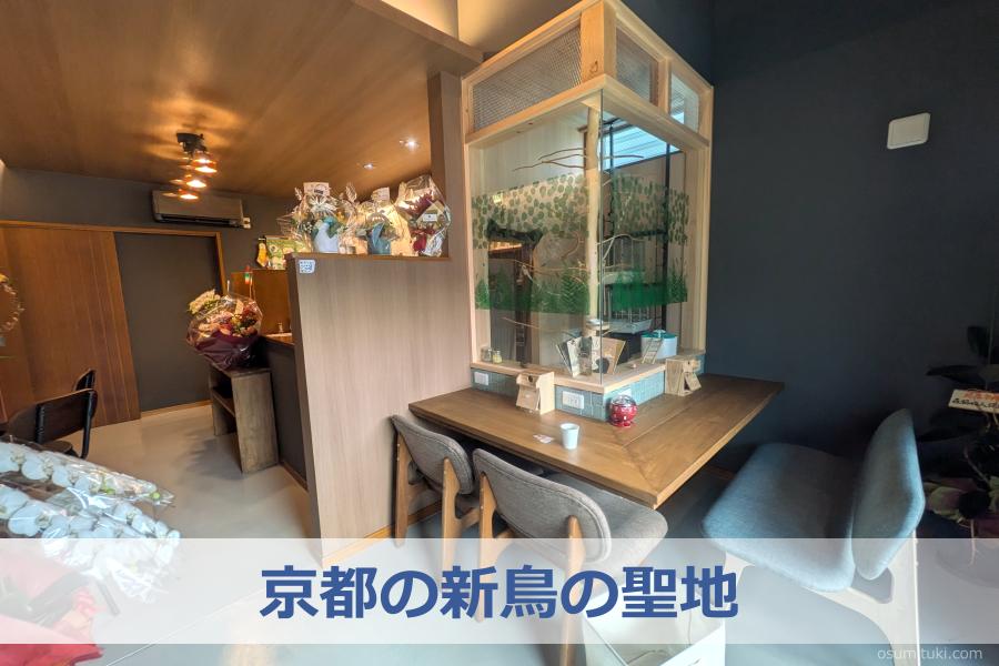 京都の新鳥の聖地 - 二条(京都市上京区)