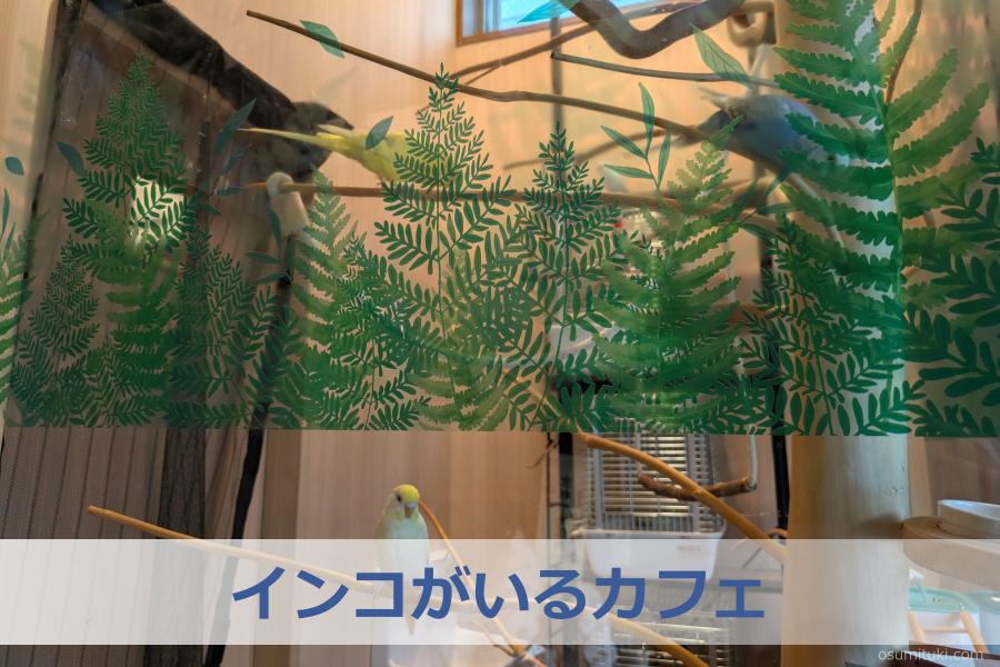 インコがいるカフェ