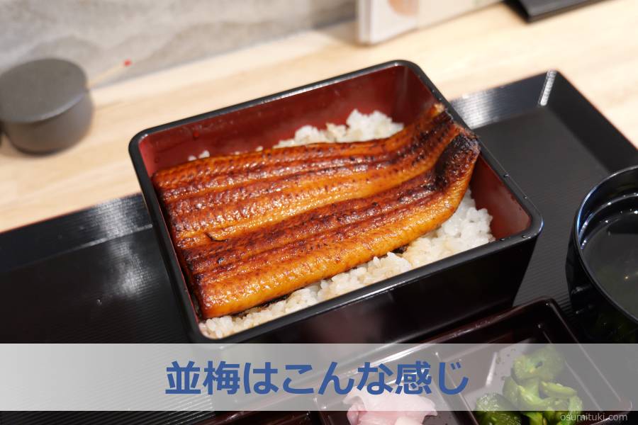 並梅はこんな感じ