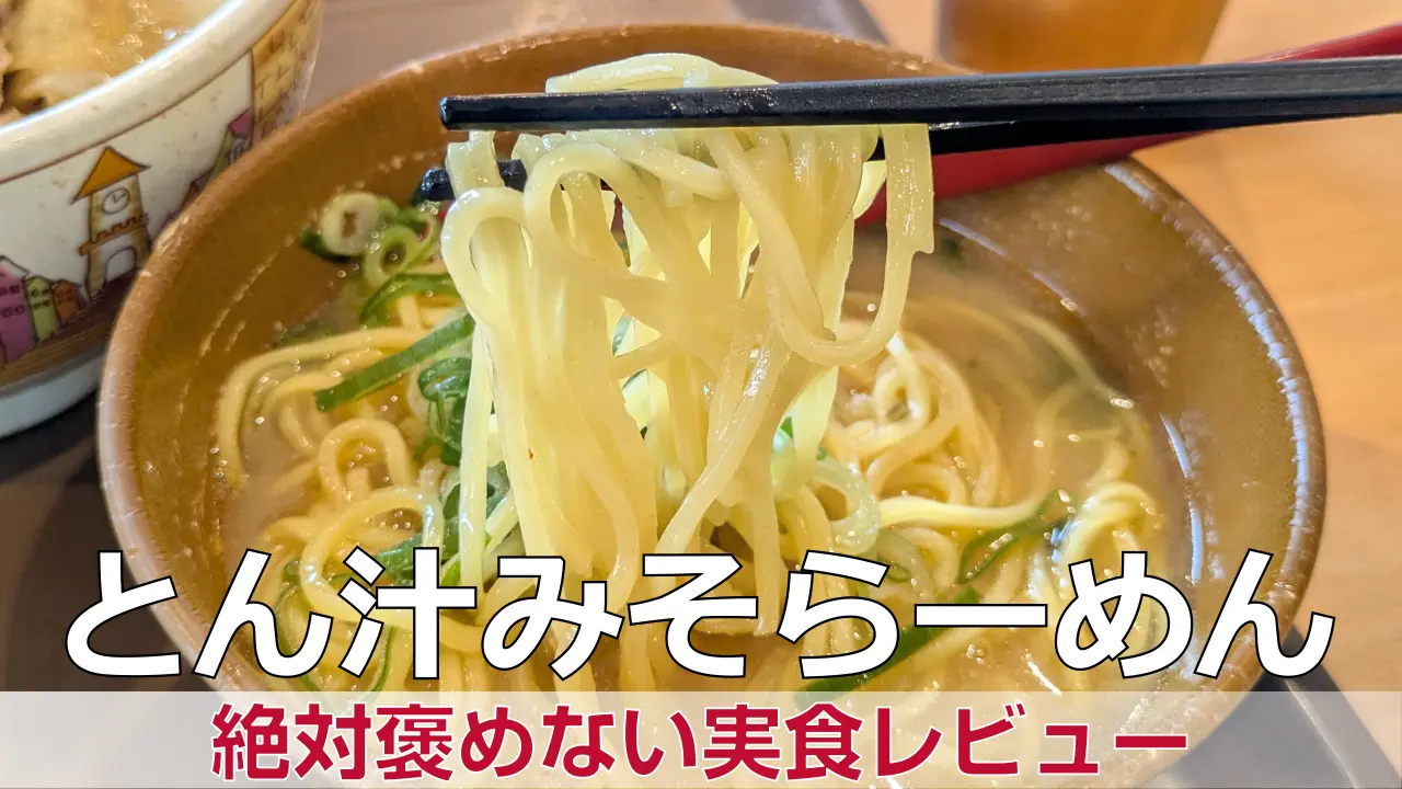 絶対褒めない「すき家 とん汁みそらーめん」実食レビュー